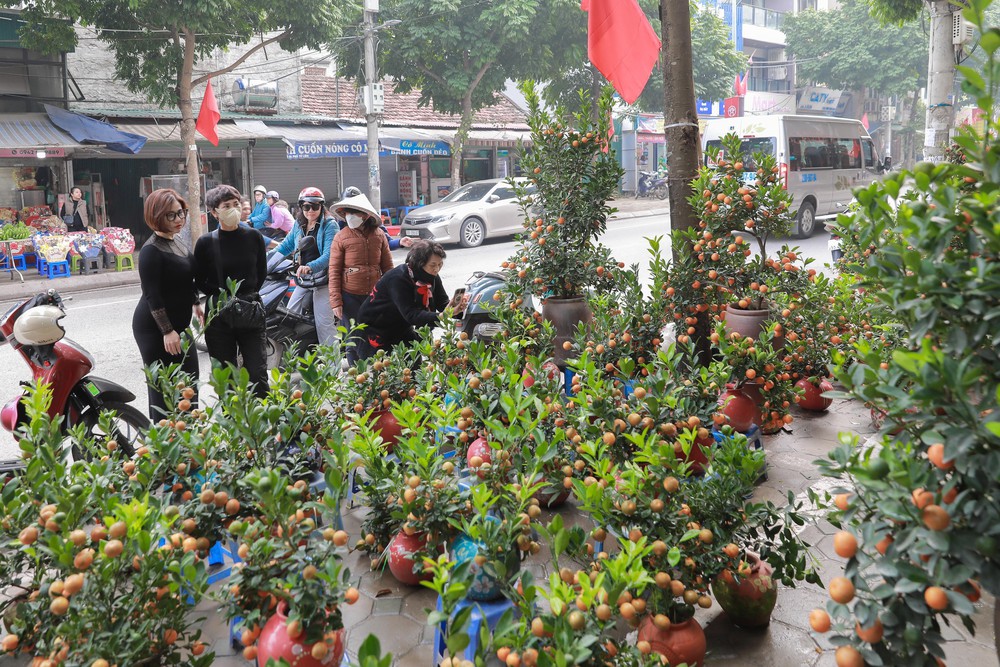 Tiểu thương thấp thỏm vì sức mua đào, quất giảm - Ảnh 10.