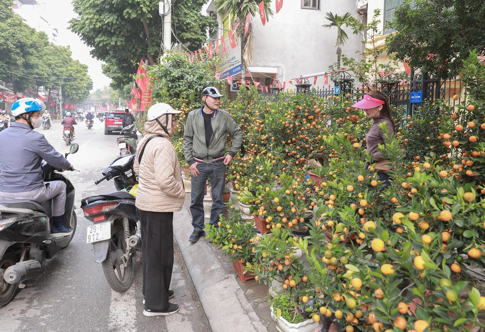 Tiểu thương thấp thỏm vì sức mua đào, quất giảm - Ảnh 9.