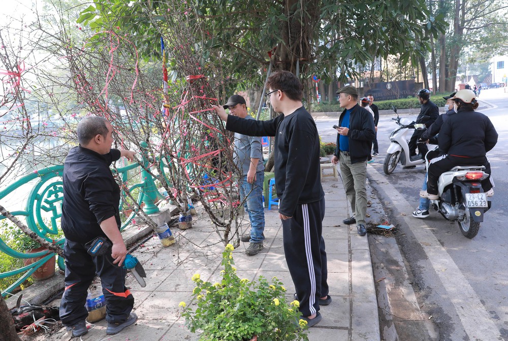 Tiểu thương thấp thỏm vì sức mua đào, quất giảm - Ảnh 2.