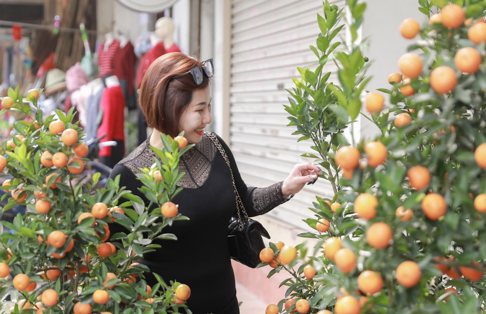 Tiểu thương thấp thỏm vì sức mua đào, quất giảm - Ảnh 8.