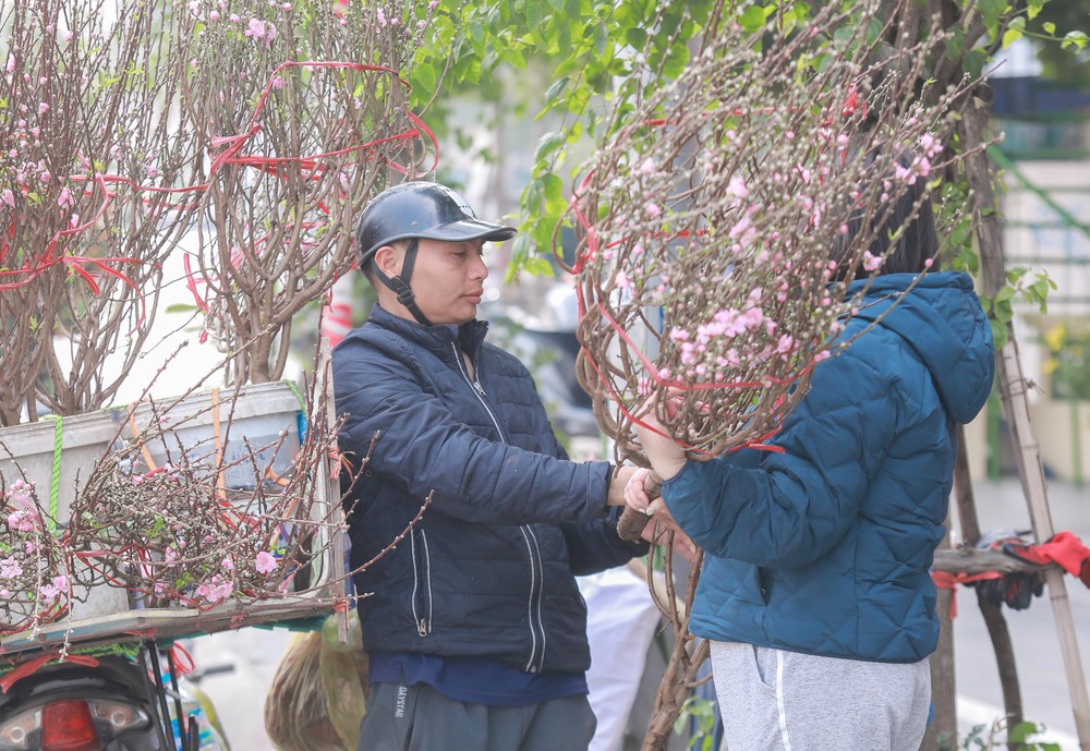 Tiểu thương thấp thỏm vì sức mua đào, quất giảm - Ảnh 6.