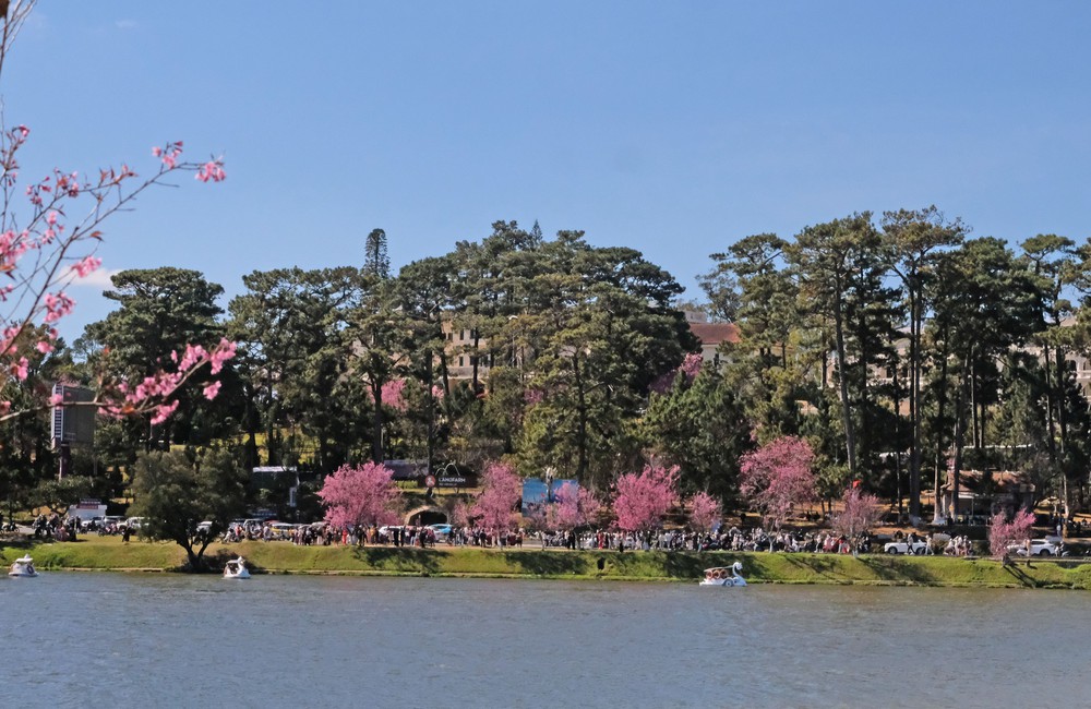 Người Việt đi đâu, chơi gì để tận hưởng trọn vẹn 9 ngày nghỉ Tết Bính Ngọ? (BÀI ONL TẾT) - Ảnh 8.