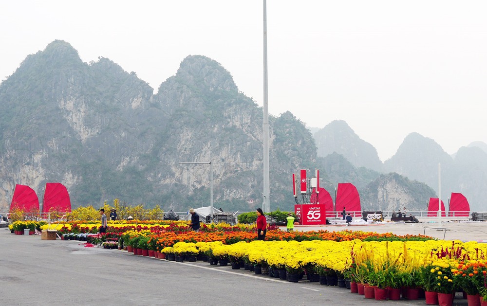  Phục dựng 3 thuyền buồm đỏ trên vịnh Hạ Long - Ảnh 4.