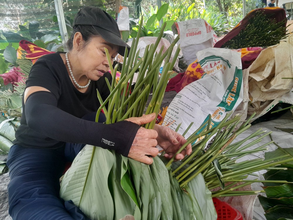 Rộn ràng mùa thu hoạch lá dong phục vụ Tết - Ảnh 5.