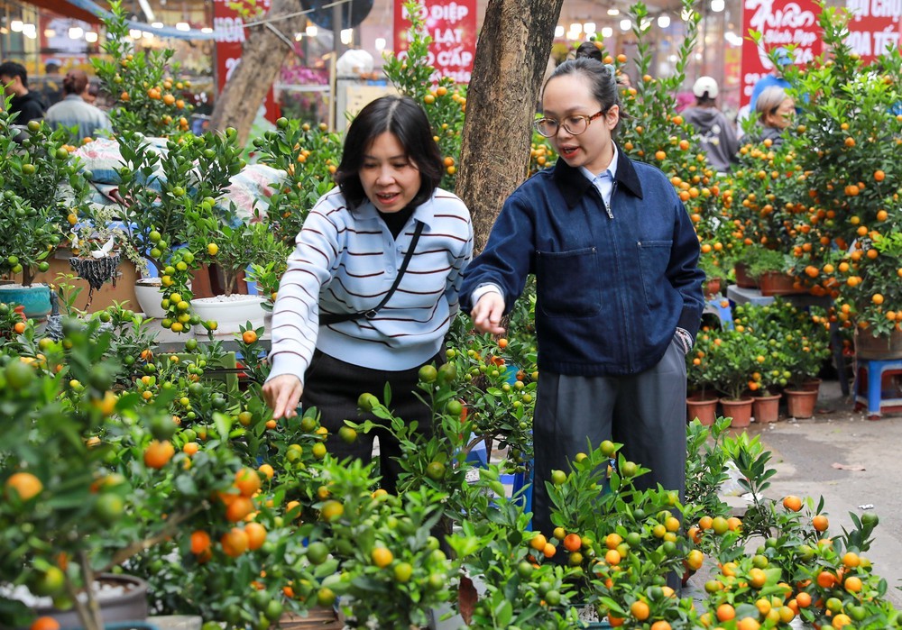 Rực rỡ sắc Xuân giữa lòng phố cổ - Ảnh 2.