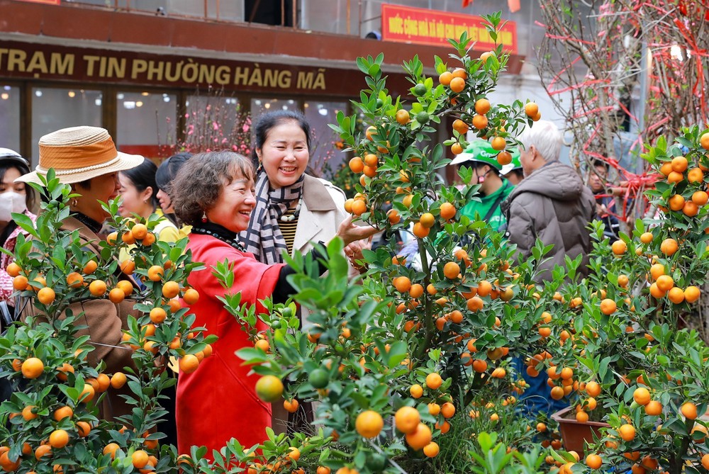 Rực rỡ sắc Xuân giữa lòng phố cổ - Ảnh 3.