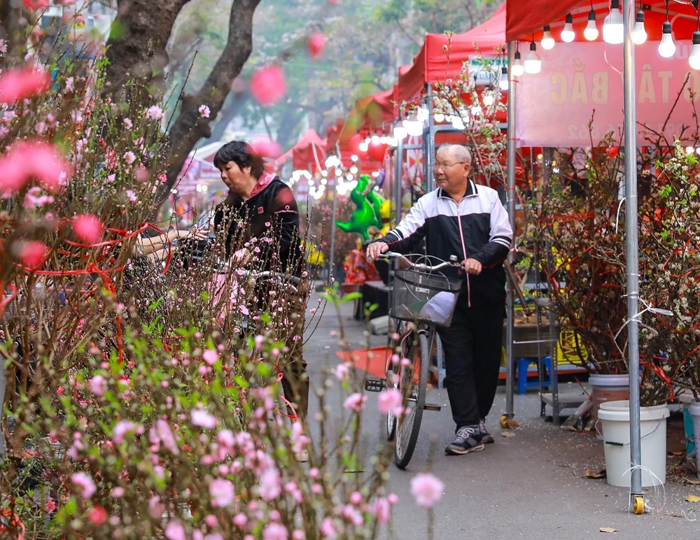 Rực rỡ sắc Xuân giữa lòng phố cổ - Ảnh 8.