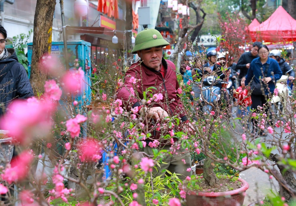 Rực rỡ sắc Xuân giữa lòng phố cổ - Ảnh 7.