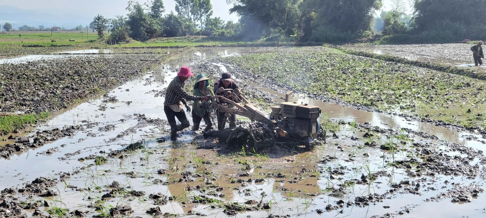 Từ vùng thiên tai đến mùa Xuân an lành - Ảnh 2.