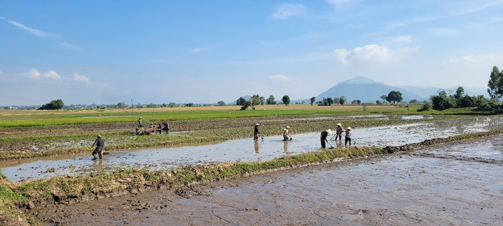 Từ vùng thiên tai đến mùa Xuân an lành - Ảnh 3.