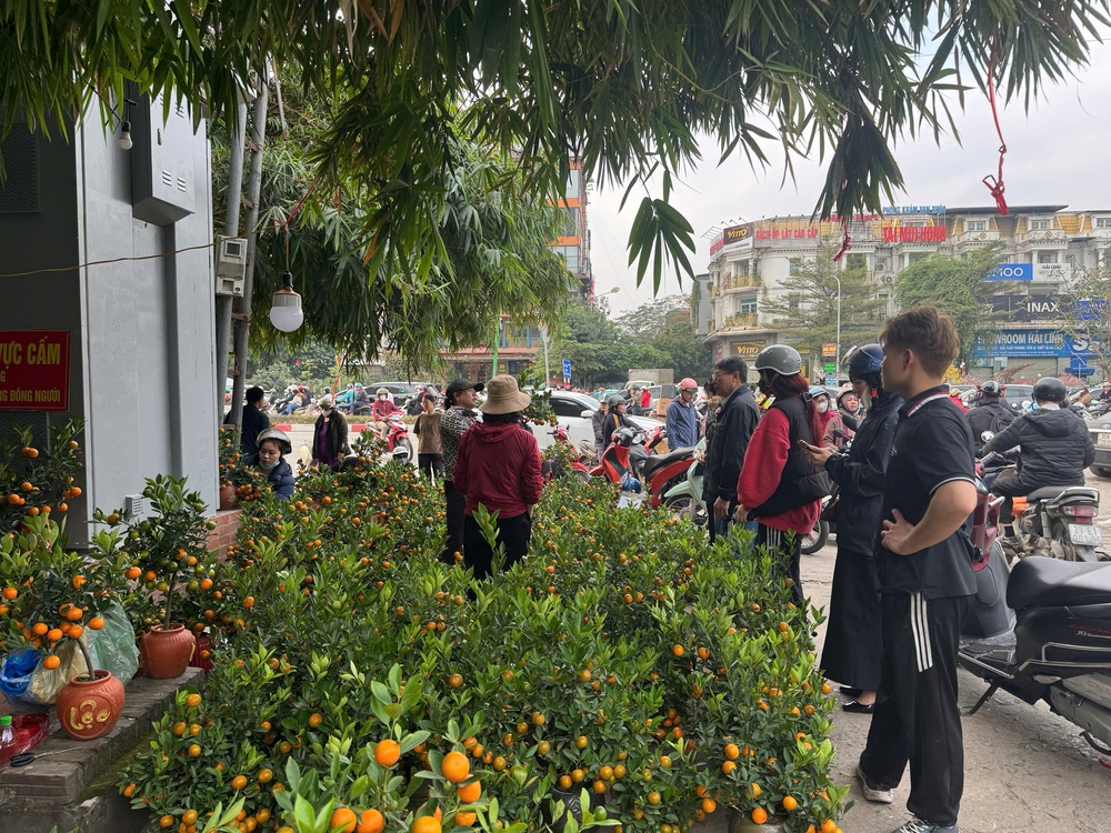 Người dân tấp nập xuống phố sắm Tết Bính Ngọ - Ảnh 1.