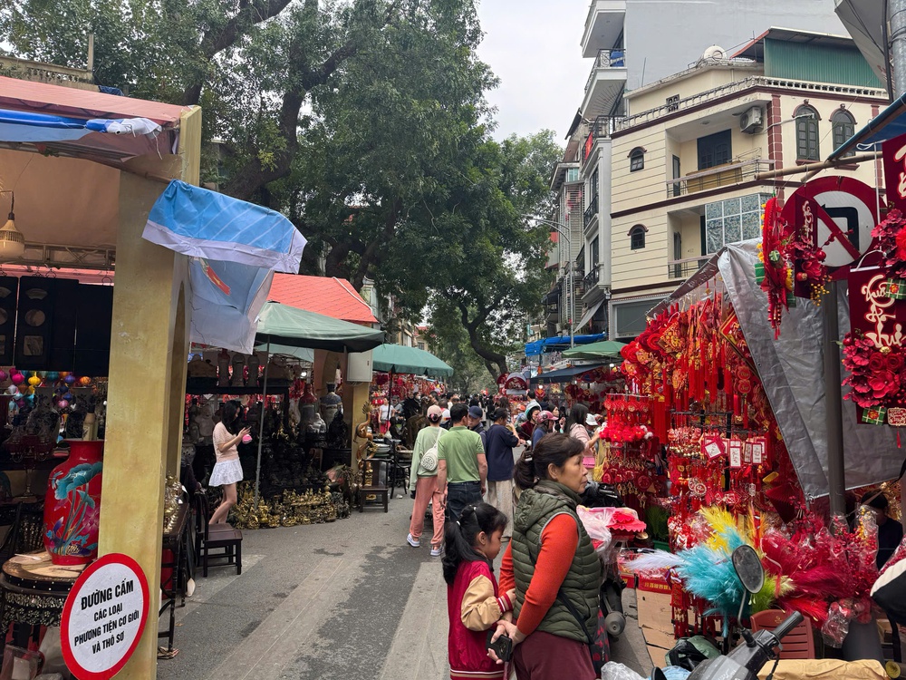 Người dân tấp nập xuống phố sắm Tết Bính Ngọ - Ảnh 8.