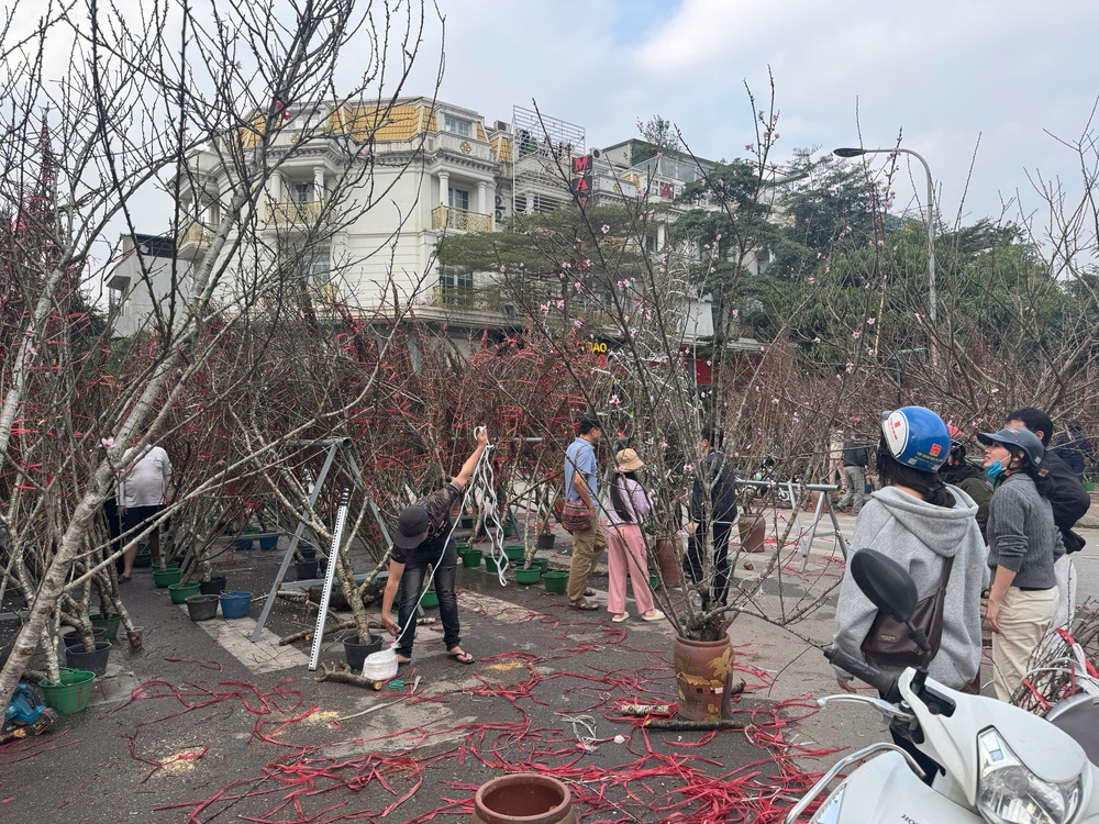 Người dân tấp nập xuống phố sắm Tết Bính Ngọ - Ảnh 3.