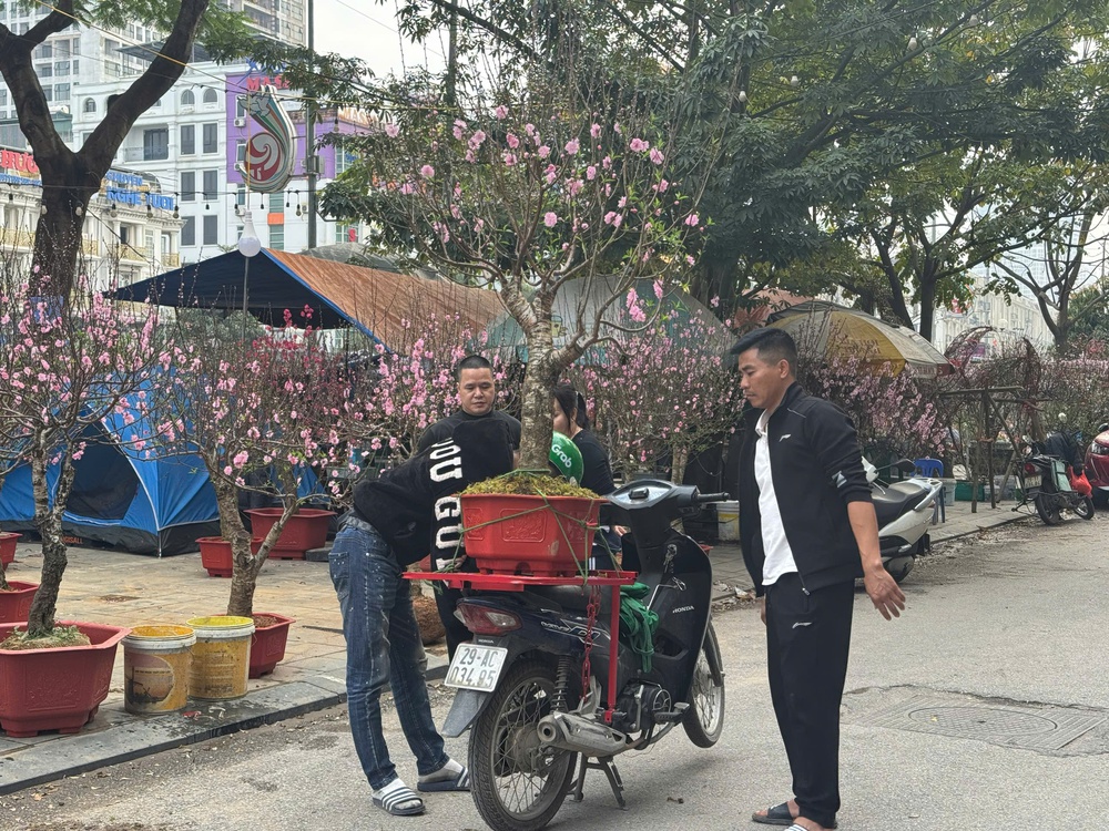 Người dân tấp nập xuống phố sắm Tết Bính Ngọ - Ảnh 2.