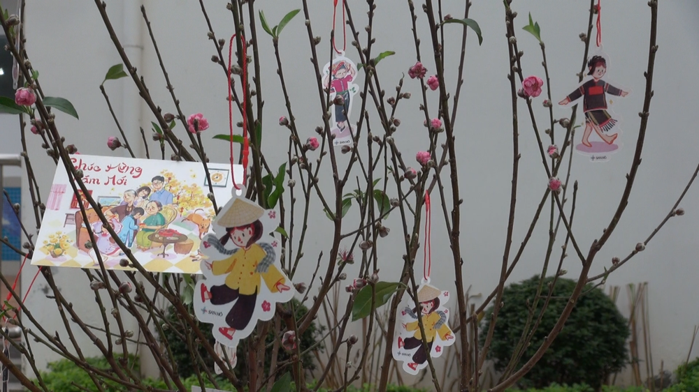 Ngắm hoa Tết - Gửi gắm ước vọng đầu xuân - Ảnh 1.