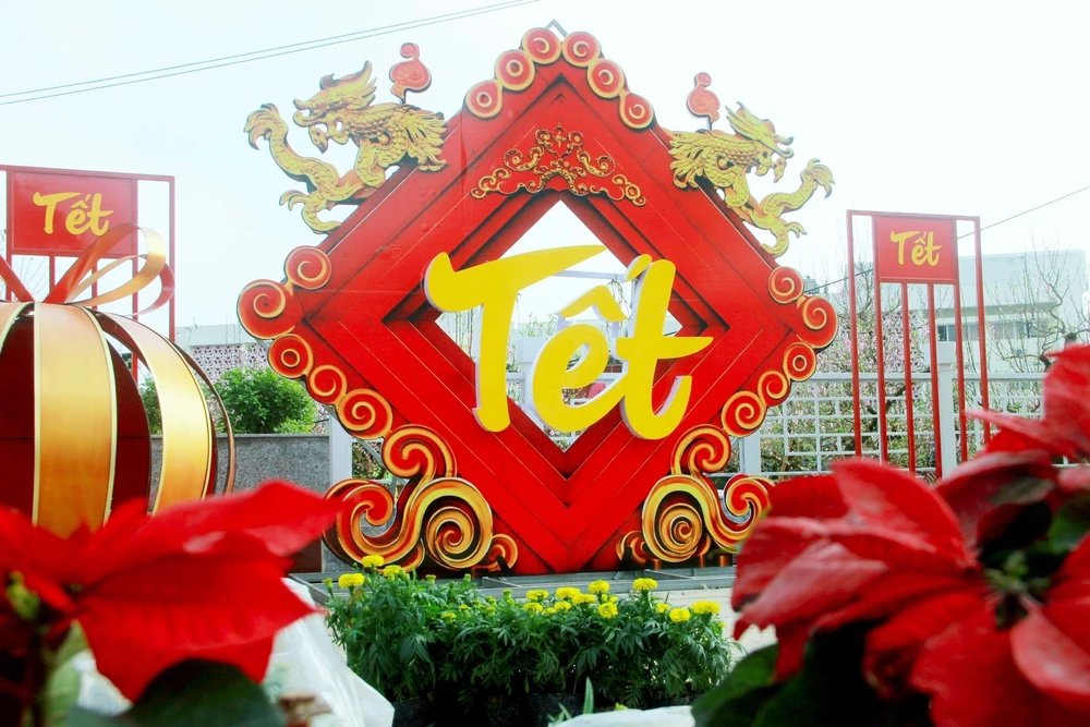 Rực rỡ đường hoa Xuân đón Tết tại Nghệ An, Quảng Trị, Vĩnh Long - Ảnh 1.