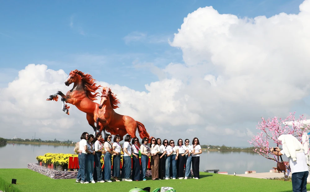 Rực rỡ đường hoa Xuân đón Tết tại Nghệ An, Quảng Trị, Vĩnh Long - Ảnh 5.