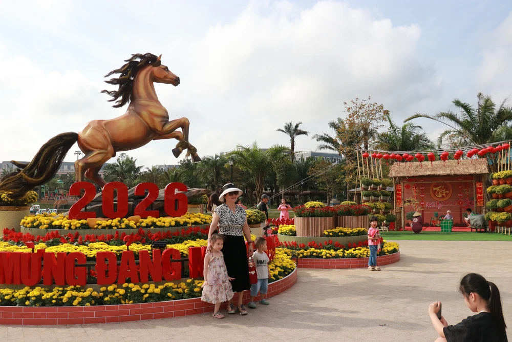 Rực rỡ đường hoa Xuân đón Tết tại Nghệ An, Quảng Trị, Vĩnh Long - Ảnh 6.