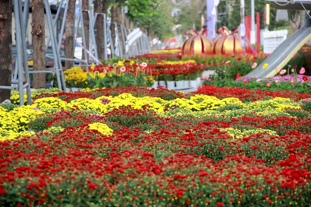 Rực rỡ đường hoa Xuân đón Tết tại Nghệ An, Quảng Trị, Vĩnh Long - Ảnh 3.