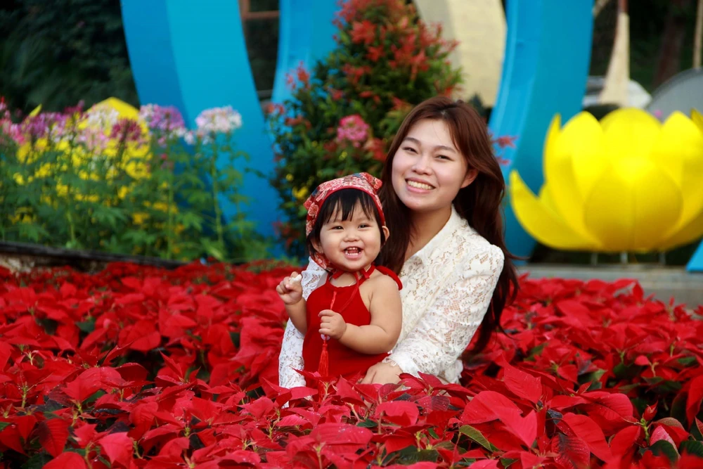 Rực rỡ đường hoa Xuân đón Tết tại Nghệ An, Quảng Trị, Vĩnh Long - Ảnh 4.