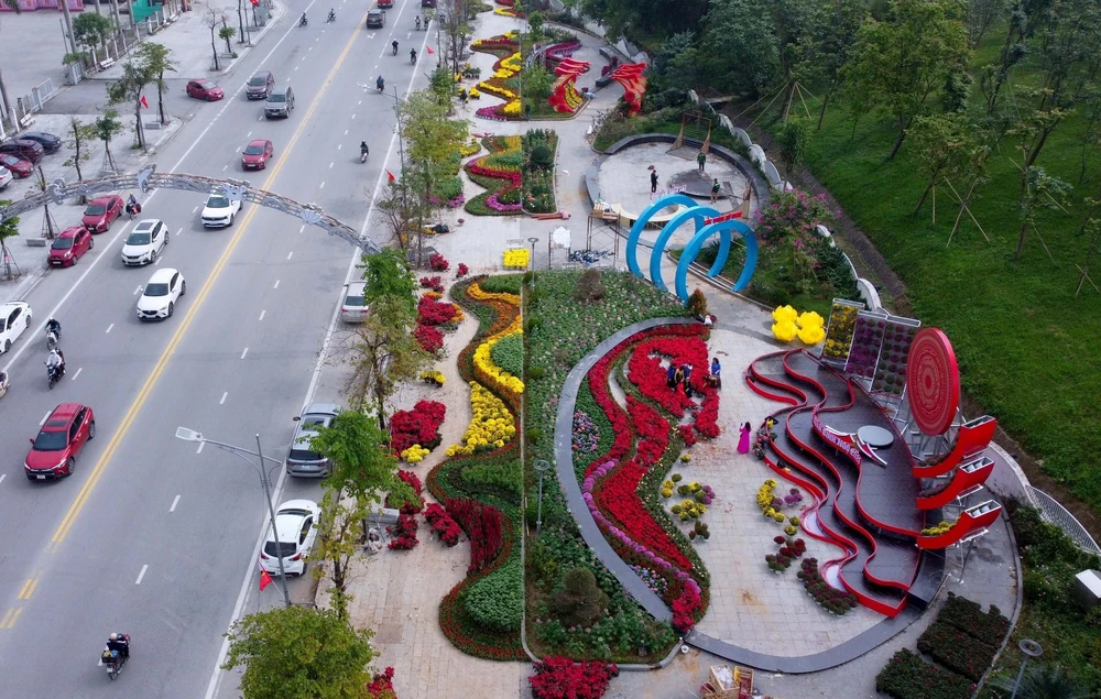 Rực rỡ đường hoa Xuân đón Tết tại Nghệ An, Quảng Trị, Vĩnh Long - Ảnh 2.