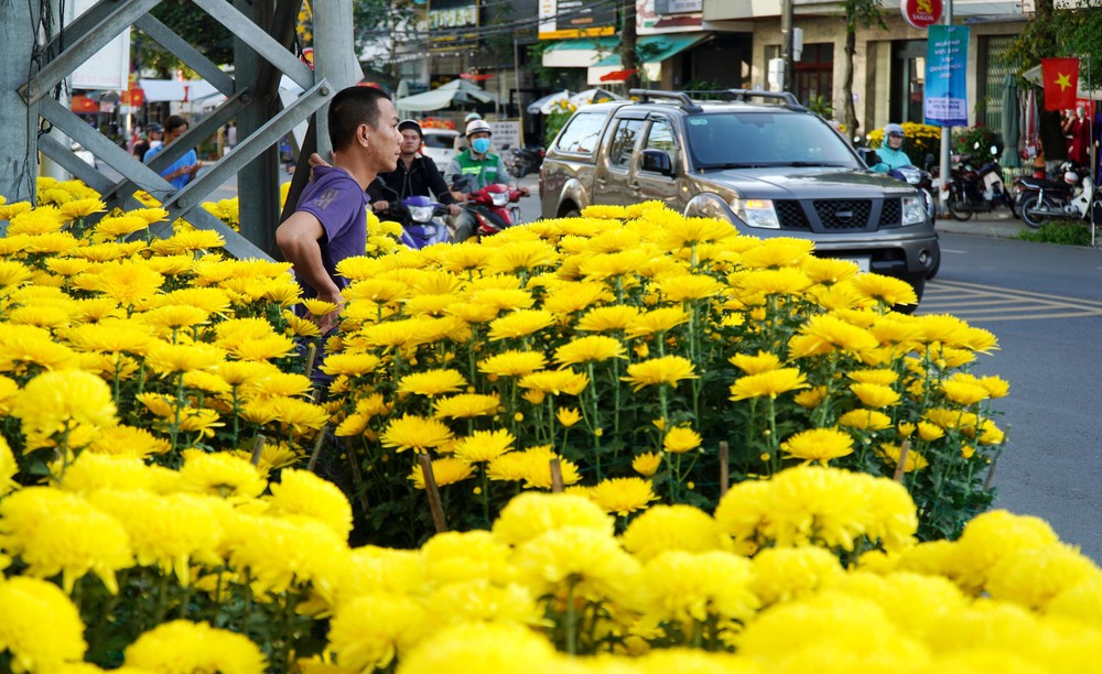 Cao điểm thị trường Tết, sức mua hoa không có nhiều đột biến - Ảnh 9.