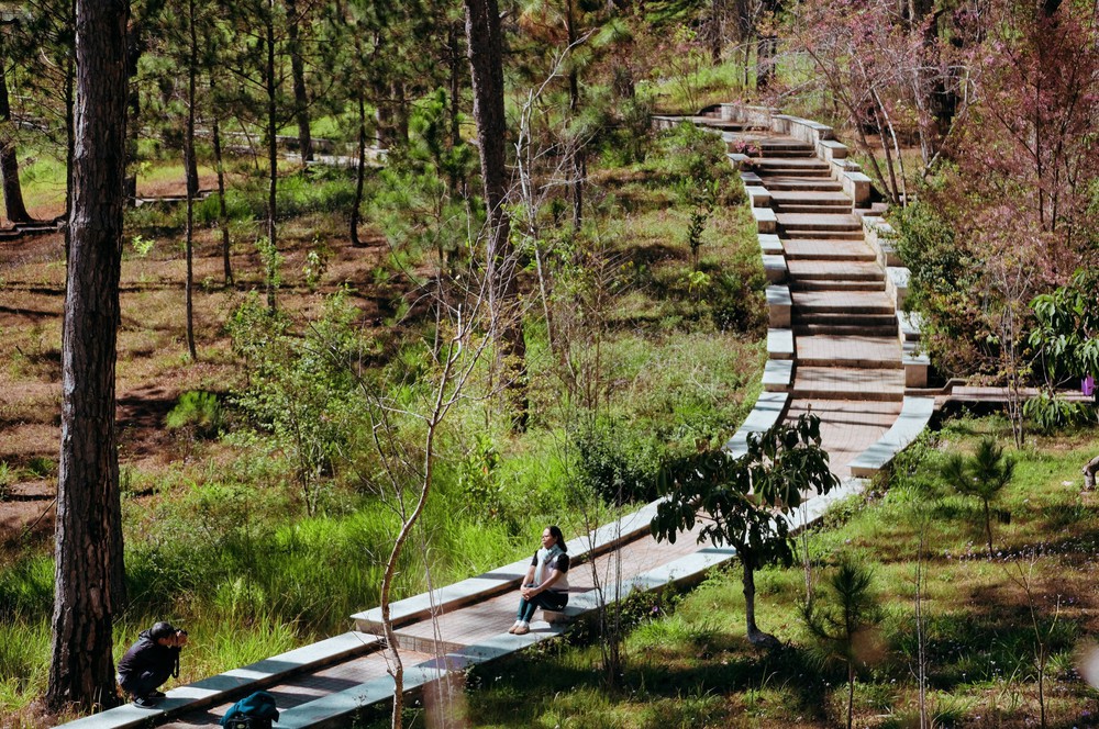 Trường Đại học Đà Lạt - Điểm đến lý thú dành cho du khách - Ảnh 1.