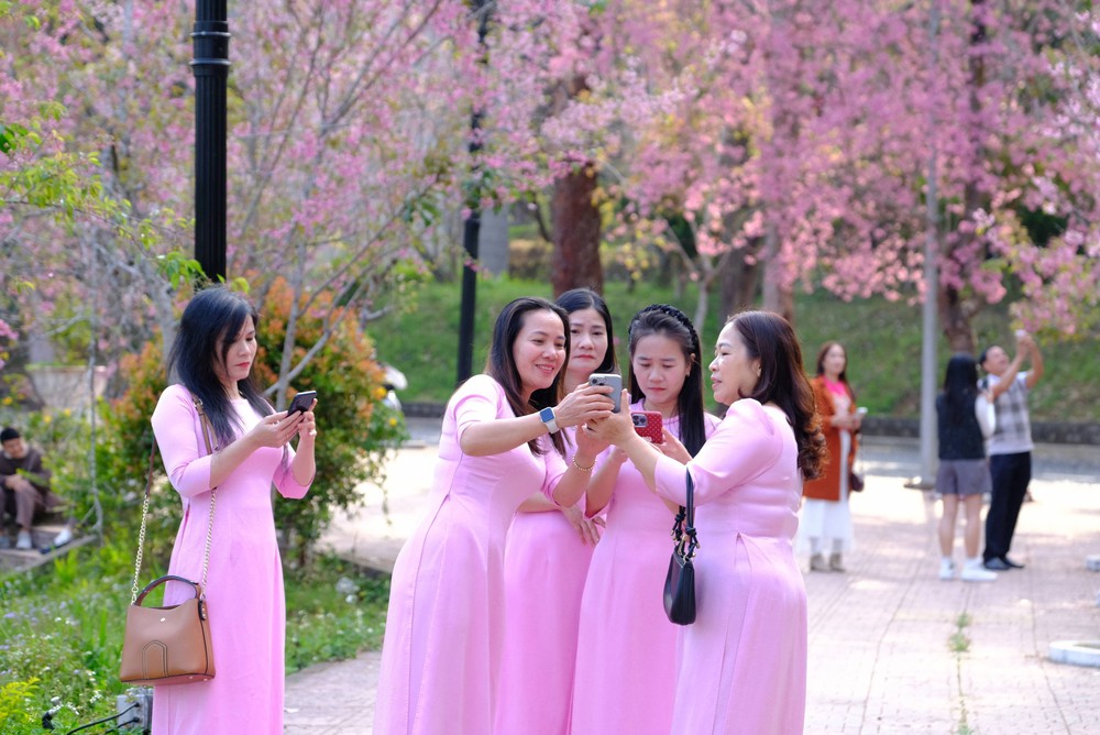 Trường Đại học Đà Lạt - Điểm đến lý thú dành cho du khách - Ảnh 6.