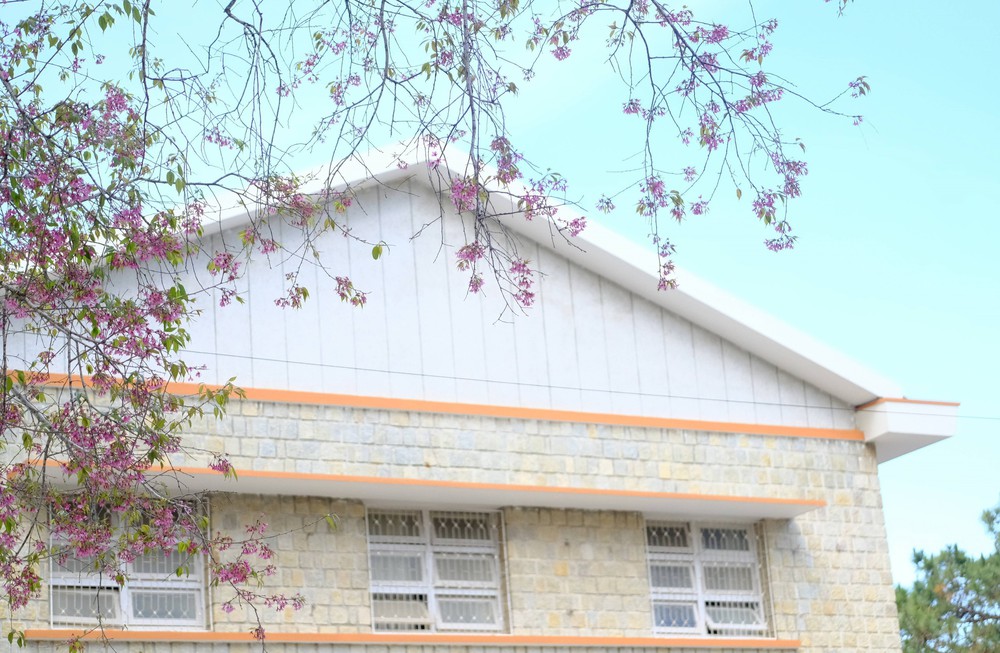 Trường Đại học Đà Lạt - Điểm đến lý thú dành cho du khách - Ảnh 8.