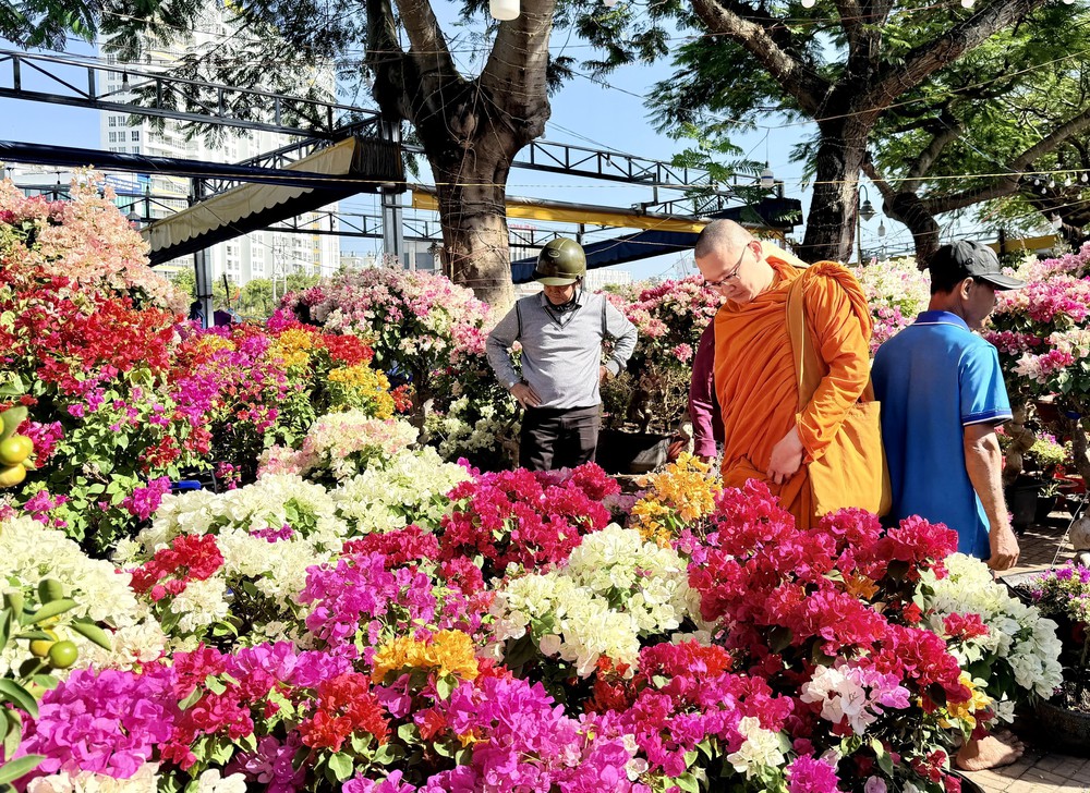 Tết Nguyên đán 2026: Những thú chơi tao nhã ngày Xuân - Ảnh 10.