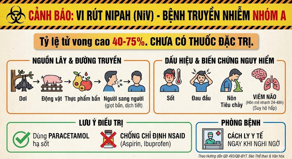 Bộ Y tế ban hành hướng dẫn "ứng phó" vi rút Nipah  - Ảnh 1.