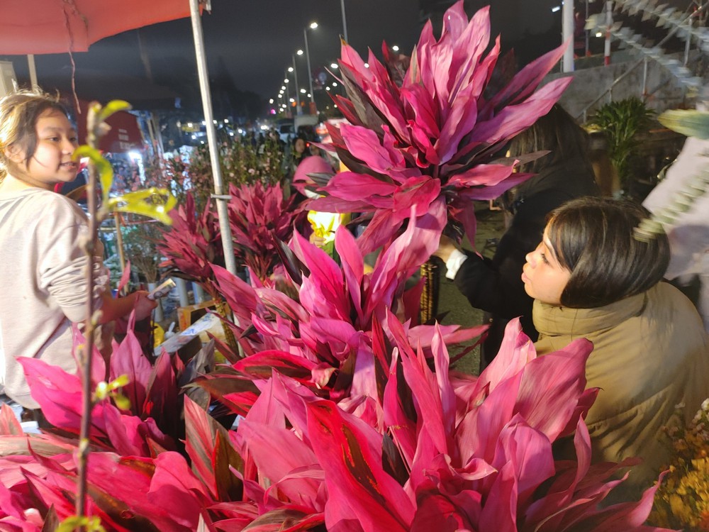 Đi chợ hoa đêm để được 'chạm' vào Tết - Ảnh 8.