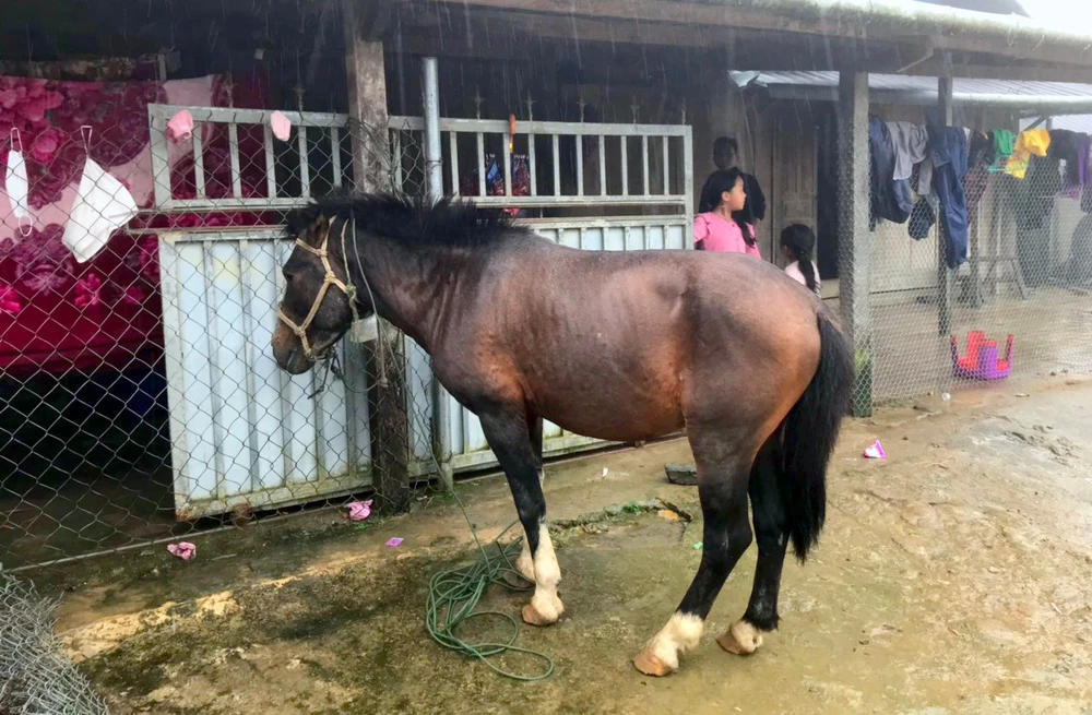 Vó ngựa Mường Lống: Chút tình xưa còn vương nơi cổng trời - Ảnh 2.