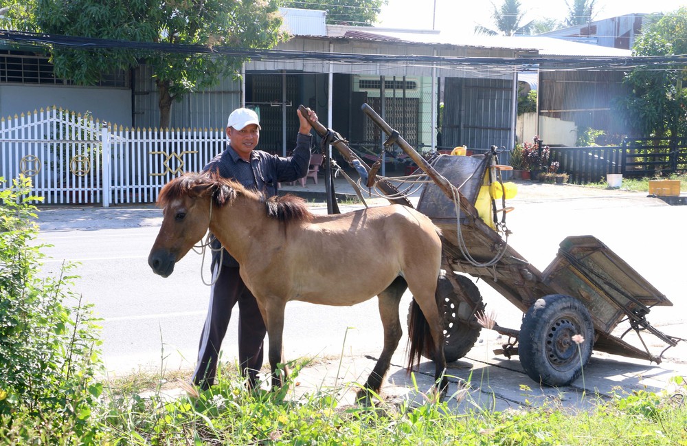 Xe ngựa - Biểu tượng văn hóa "độc bản" miền biên viễn Tây Nam - Ảnh 2.
