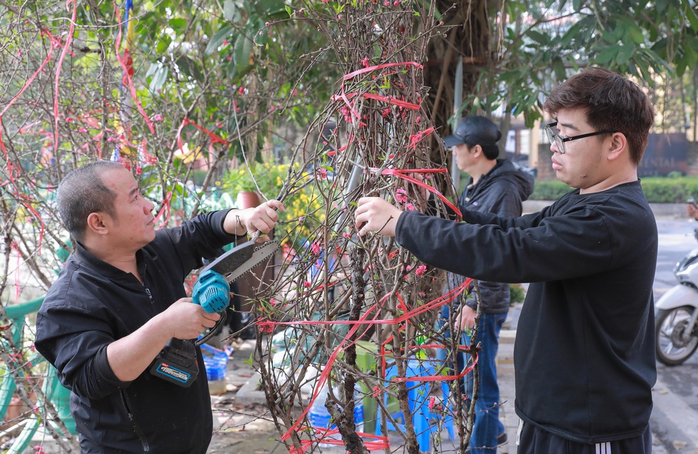 Ngày 29 Tết, đào, quất giảm giá sâu vẫn “đìu hiu” khách mua - Ảnh 1.