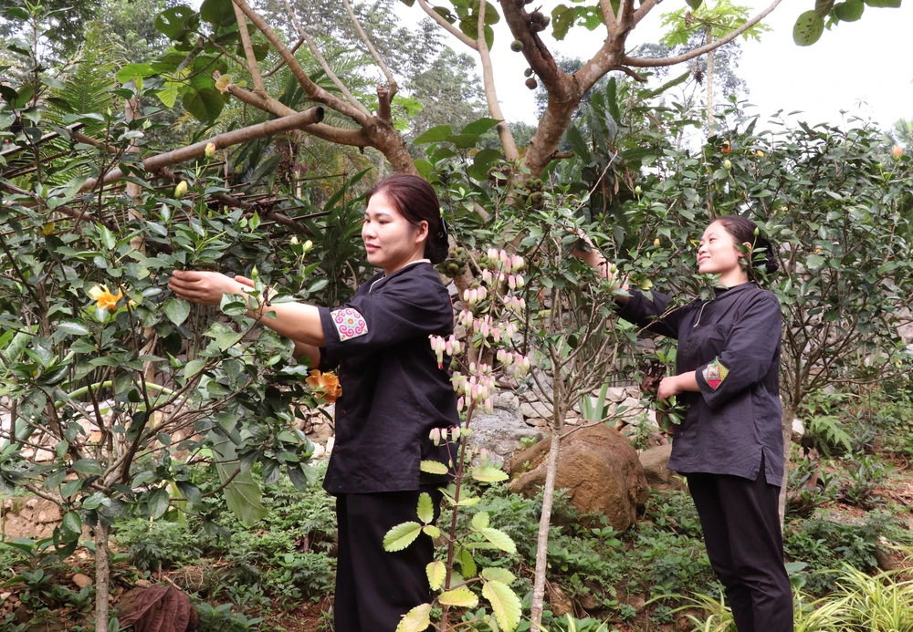 Tuyên Quang phát triển du lịch xanh gắn với bảo vệ môi trường - Ảnh 2.