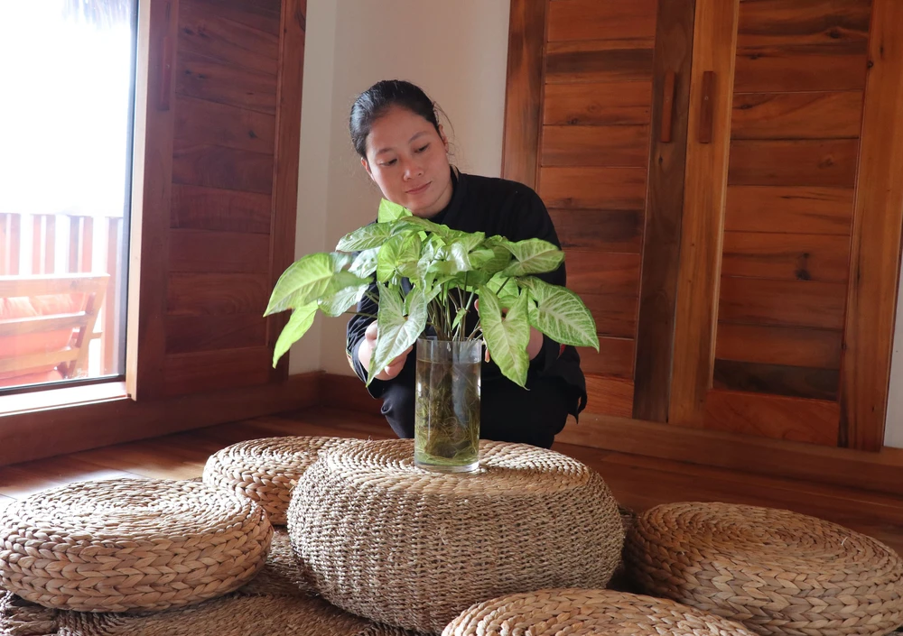 Tuyên Quang phát triển du lịch xanh gắn với bảo vệ môi trường - Ảnh 3.