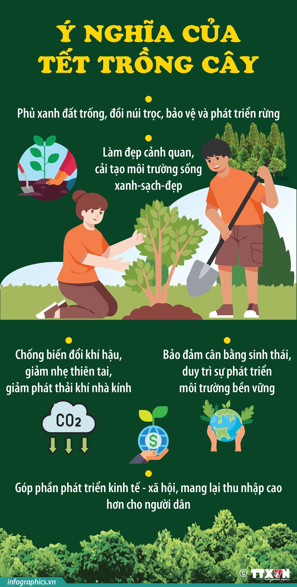 Ý nghĩa của Tết trồng cây - Ảnh 1.