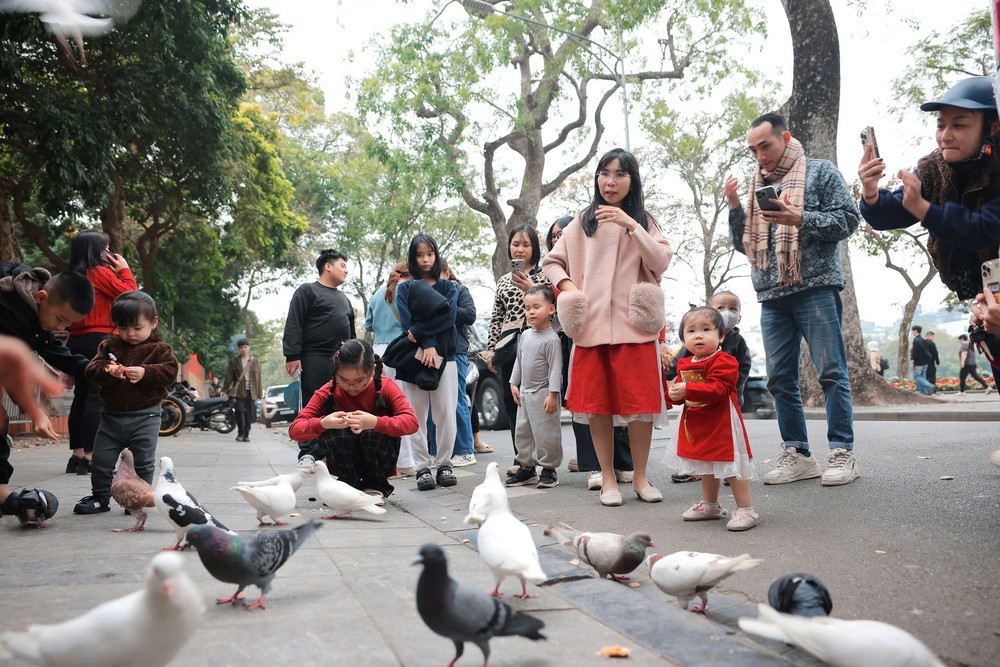 Tết Nguyên đán Bính Ngọ: Du lịch khởi sắc, đón 14 triệu lượt khách - Ảnh 3.