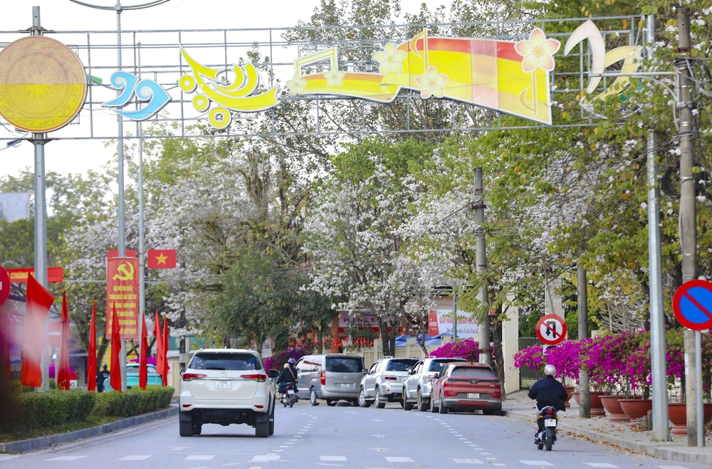 Hoa ban bung nở trên phố núi Điện Biên - Ảnh 5. Hoa ban bung nở trên phố núi Điện Biên - Ảnh 5.