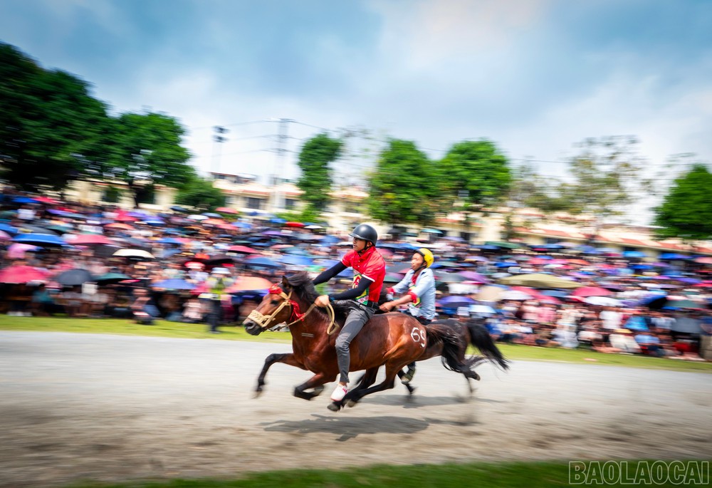 Ngựa thồ và câu chuyện giữ bản sắc văn hóa vùng cao - Ảnh 2.