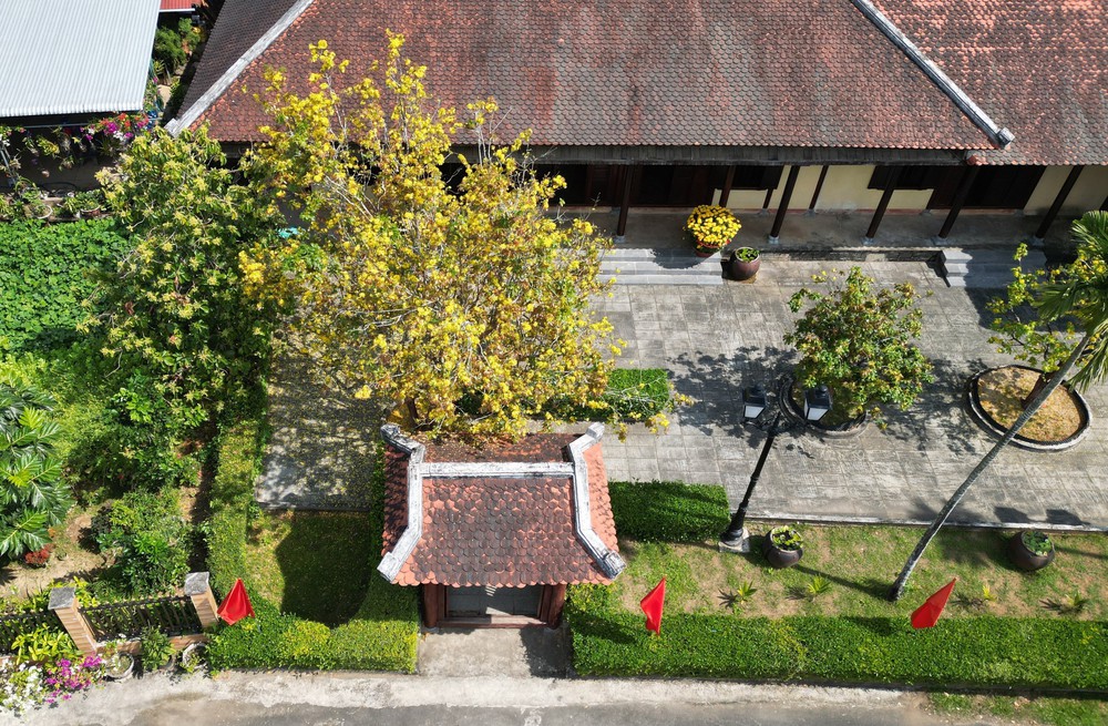 Mùa Xuân ở Khu lưu niệm cố Thủ tướng Phạm Văn Đồng tại Quảng Ngãi - Ảnh 3.