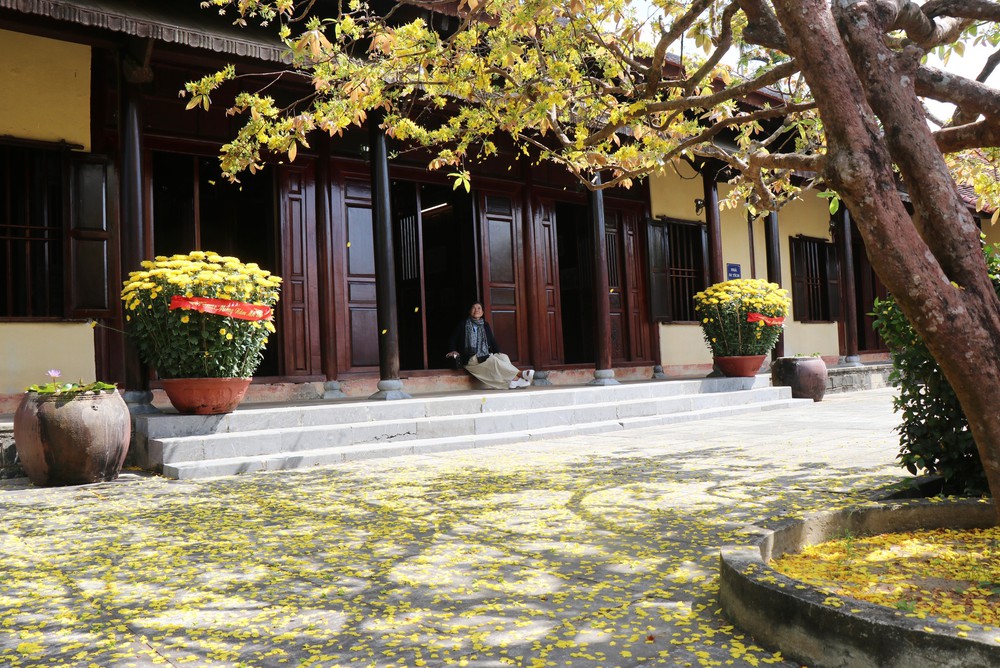 Mùa Xuân ở Khu lưu niệm cố Thủ tướng Phạm Văn Đồng tại Quảng Ngãi - Ảnh 5.