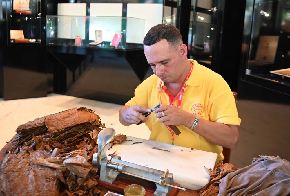 Xì-gà: Động lực kinh tế và biểu tượng bản sắc của Cuba - Ảnh 3.