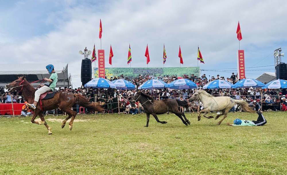 Kỵ mã thồ hàng tham gia tranh tài Hội đua ngựa truyền thống gò Thì Thùng - Ảnh 6. Kỵ mã thồ hàng tham gia tranh tài Hội đua ngựa truyền thống gò Thì Thùng - Ảnh 6.
