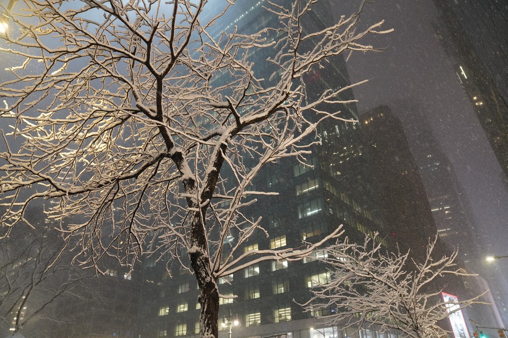 Miền Đông Bắc nước Mỹ nỗ lực dọn dẹp sau cơn bão tuyết dữ dội - Ảnh 3.