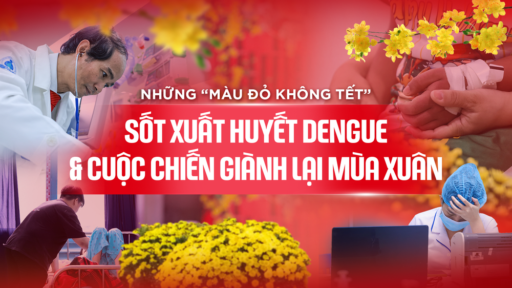 Những "màu đỏ không Tết" và hồi chuông cảnh báo từ sốt xuất huyết Dengue - Ảnh 1.