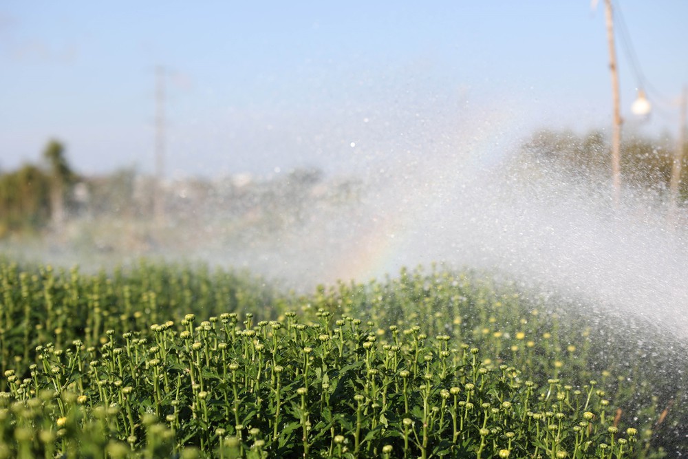 Thời tiết dịp nghỉ Tết Nguyên Bính Ngọ thuận lợi cho việc du Xuân - Ảnh 2.