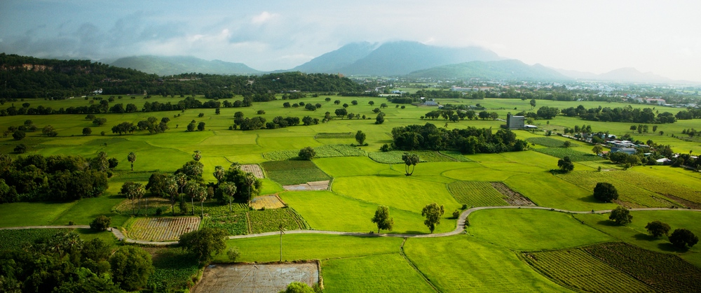 Tiết lộ vai diễn của Mỹ Tâm trong phim “Tài”, vai y tá hay lượm ve chai? - Ảnh 5.