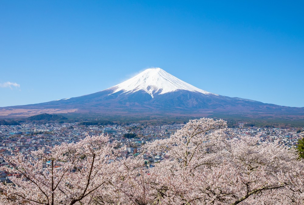 Lễ hội hoa anh đào núi Phú Sĩ bị hủy do quá tải du khách - Ảnh 1.